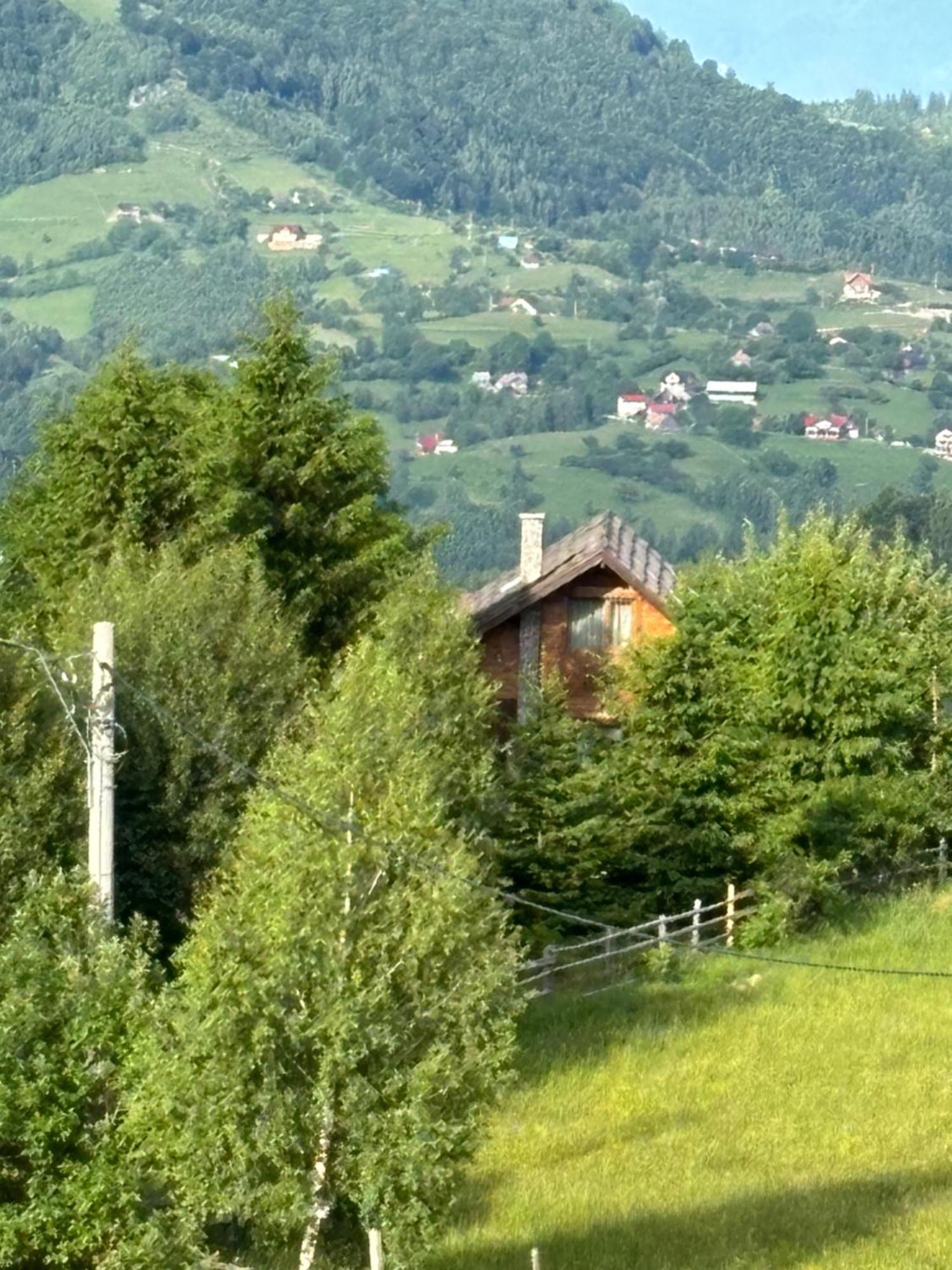 Chalet Ro Peştera المظهر الخارجي الصورة