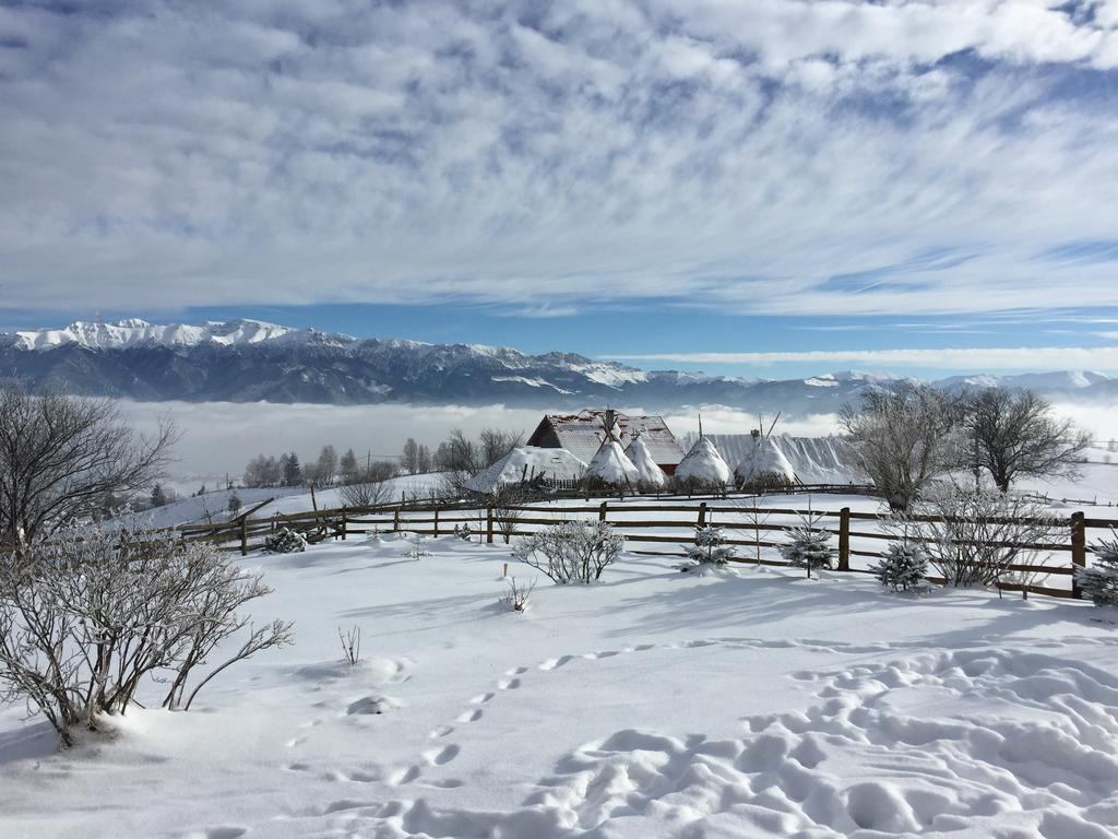 Chalet Ro Peştera المظهر الخارجي الصورة